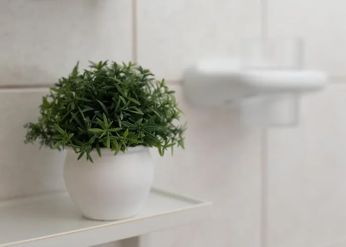 Apartmán Barba