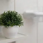 דירה Barba
