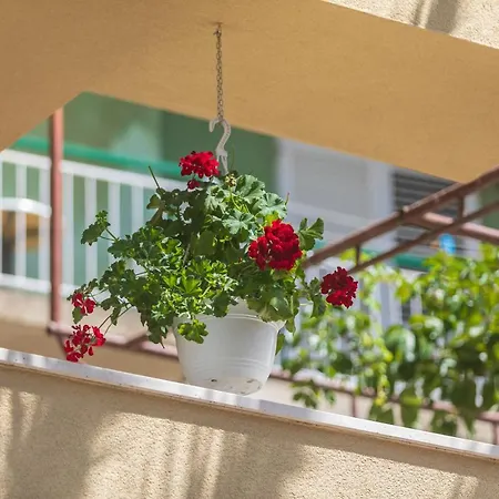 Barba Apartment Tucepi